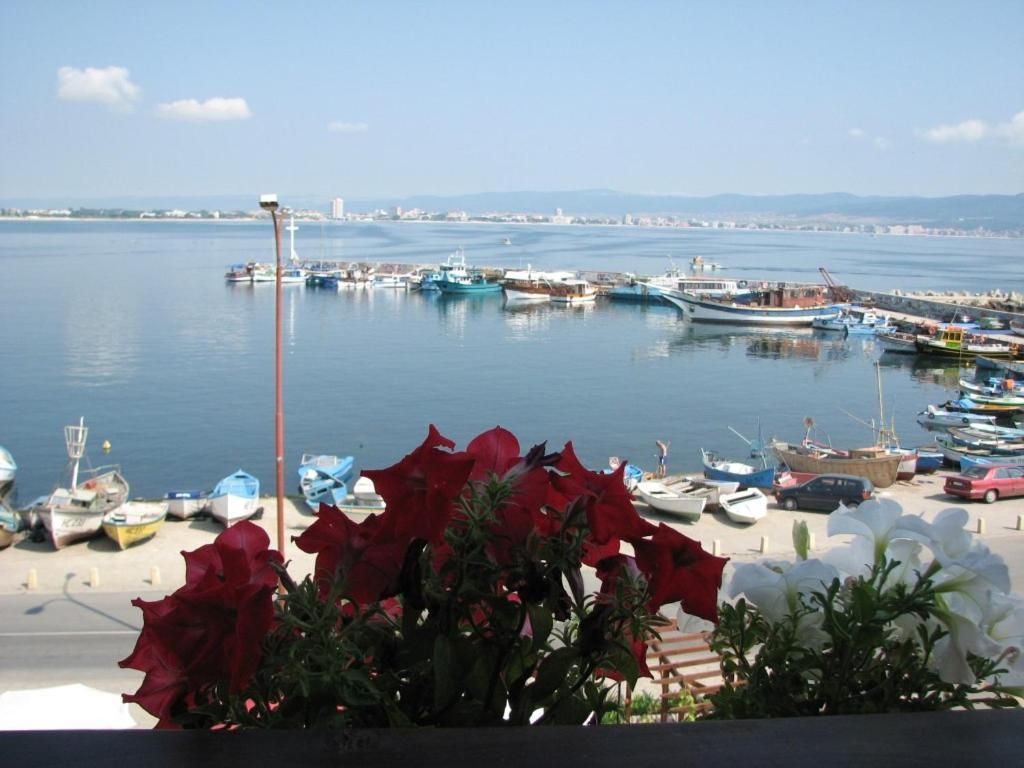 Stankoff Hotel نيسيبار المظهر الخارجي الصورة